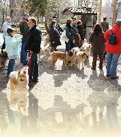 Wurftreffen Maerz 2009, Vogelpark